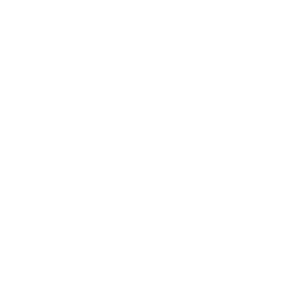 icon of the capitol of texas